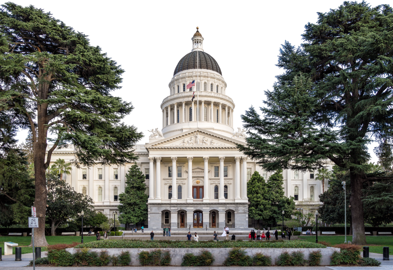 ca state image