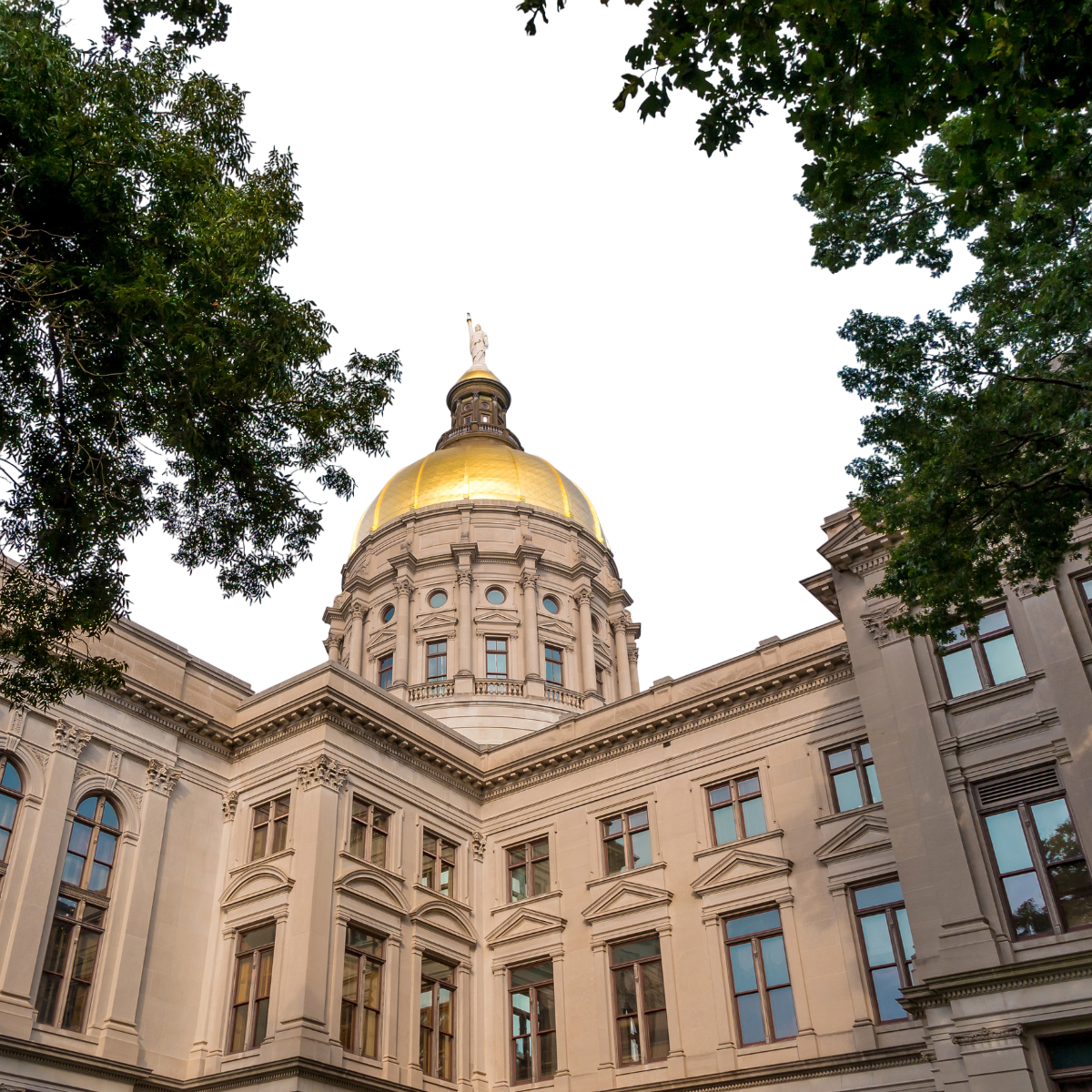 ga state image
