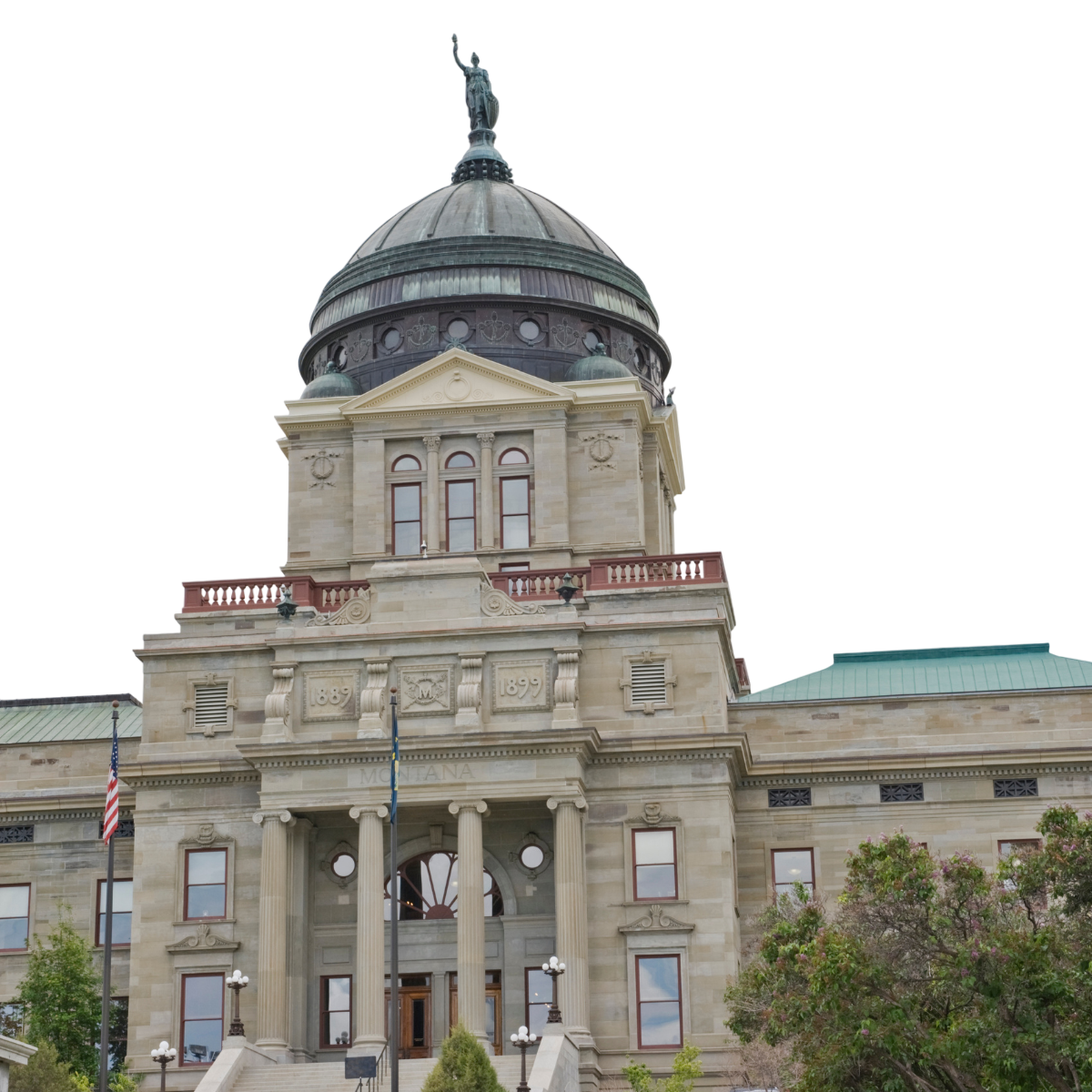 mt state image