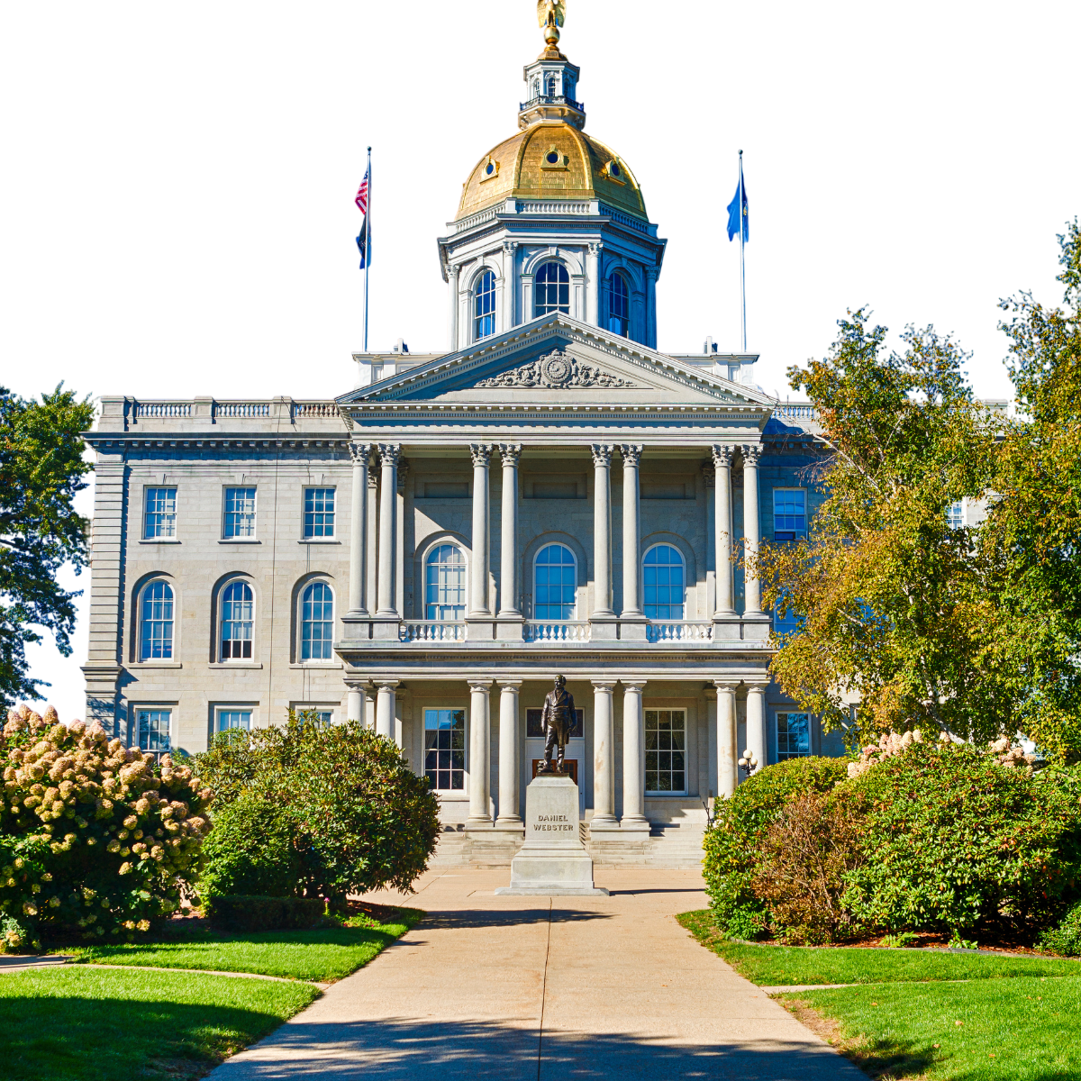 nh state image