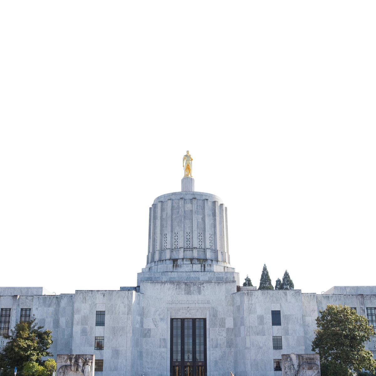 or state image
