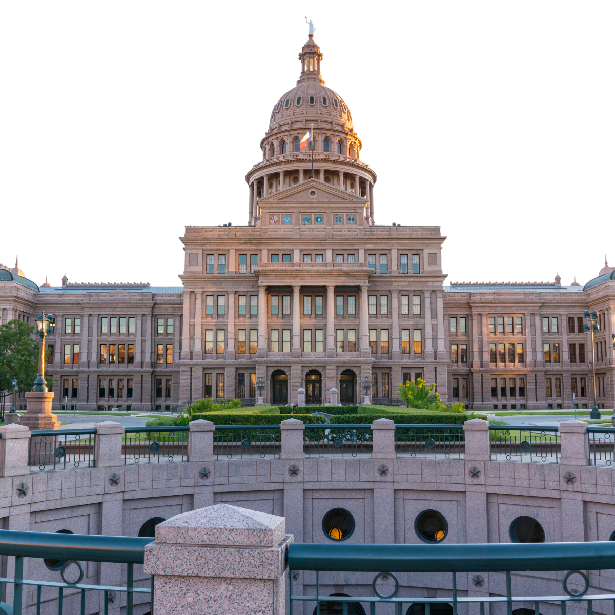 tx state image